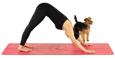 Every Day Has Its Dog 7 Playful Yoga Down Dog Variations Downward