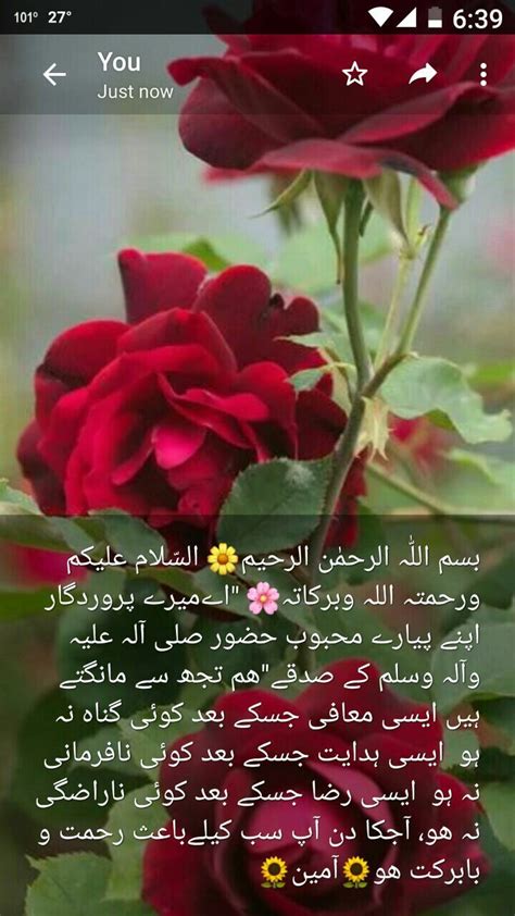 Read duas about when waking up ,rabbana duas from quran, hajj duas, islamic supplications with arabic text and translations. Pin by MIAN ZUBAIR ZIA on DUAIN | Good morning quotes ...
