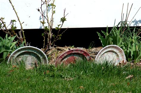 Check spelling or type a new query. Pros, Cons of the Various Types of Lawn Edging Materials