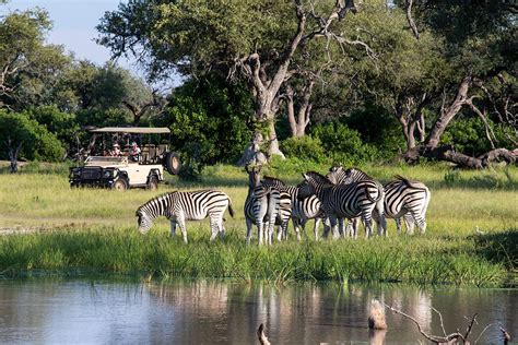 What To Experience On A Luxury Botswana Safari
