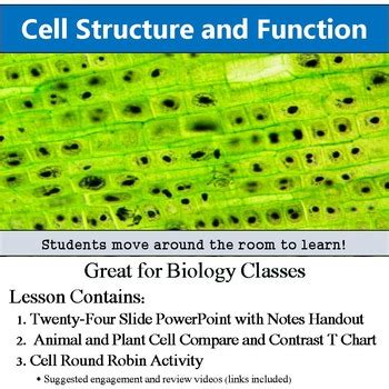 Cell Structure and Function - Animal and Plant Cell Parts ...
