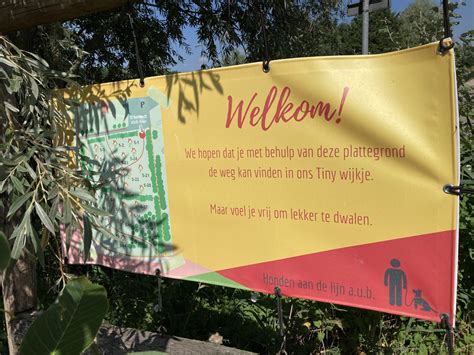 Initiatieven bloeien op in het Westpark – TinyFindy