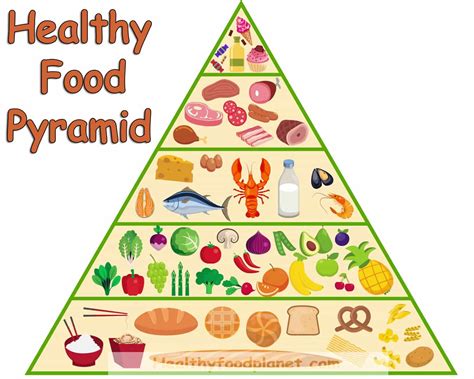 New Healthy Food Pyramid For Health Healthy Food Planet