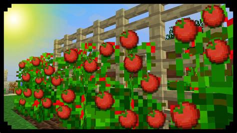Soon your minecraft world will have that beautiful garden you've always wanted. Minecraft: How to make Tomato Plants - YouTube