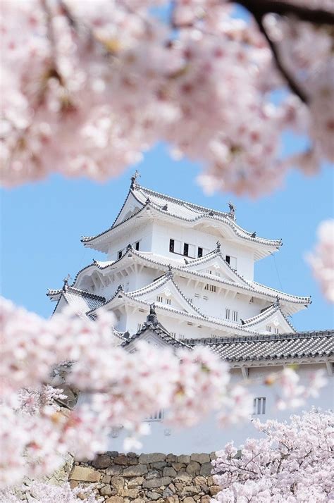 Spring 2017 When And Where To See The Cherry Blossoms In
