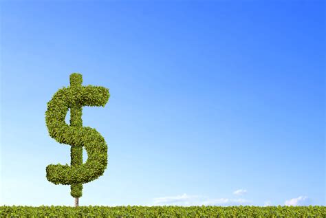 Dollar Signs Are Increasing With Blue Sky Background Techcrunch