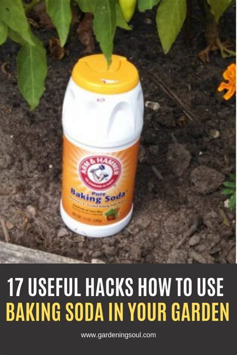17 Useful Hacks How To Use Baking Soda In Your Garden Garden Pests