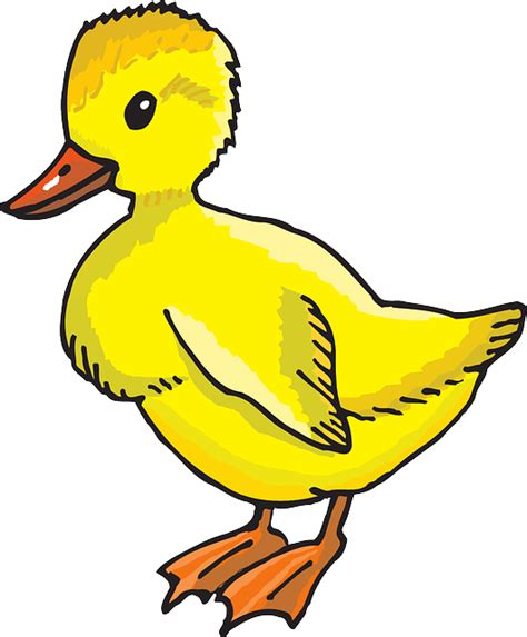 Duckling Yellow Baby · Free Vector Graphic On Pixabay