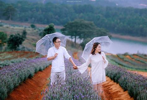 Khám Phá 2 Cánh đồng Hoa Lavender đẹp Nhất ở Đà Lạt 2021