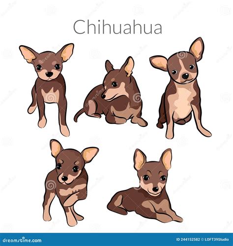 Chihuahua Dogs Doodle In Different Poses And Puppy Set Vector
