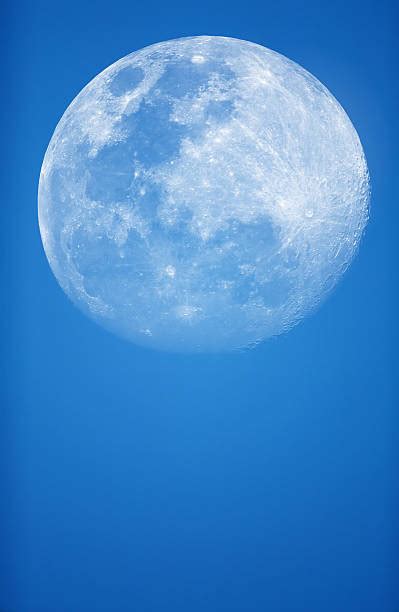 Blue Moon Stock Photos Pictures And Royalty Free Images Istock
