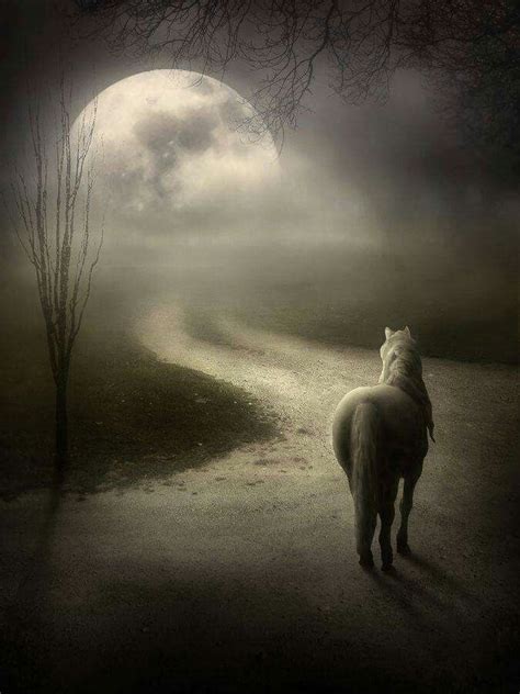 Beautiful moon moon, light, space, universe, big, white, dark, black. Pin by Diana Walton on magic of moon | Beautiful moon ...
