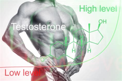 Best Testosterone Boosters Supplements 2021 Increase Sex Drive