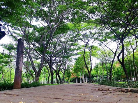 5 Taman Wisata di Kawasan Jakarta Utara | BukaReview
