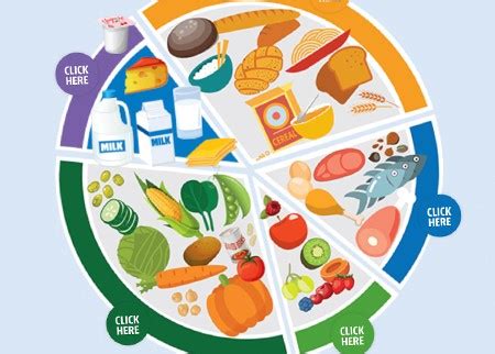 The fruits and vegetable groups includes all fresh, frozen, canned and dried vegetables. The nutrition benefits of dairy | Discover Dairy