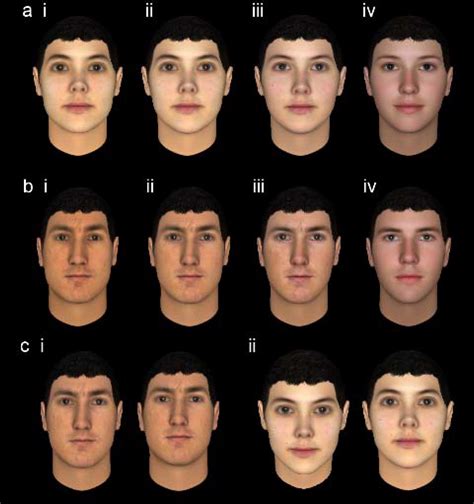 a new viewpoint on the evolution of sexually dimorphic human faces darren burke danielle