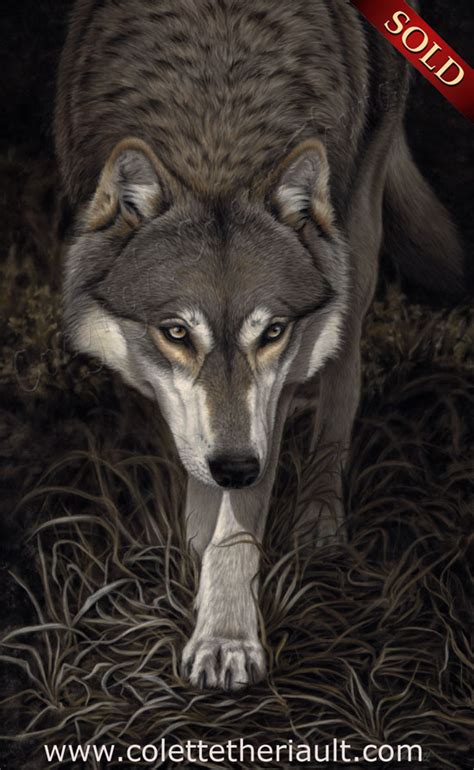 Grey Timber Wolf Wildlife Pastel Painting North American Wildlife Art