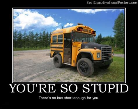 Youre So Stupid Demotivational Poster