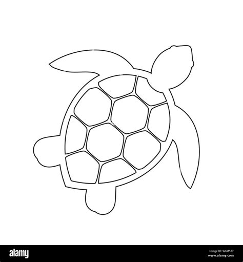 Simple Turtle Outline Clipart My Cruise Myway