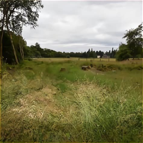 Forest Land For Sale In Uk 49 Used Forest Lands