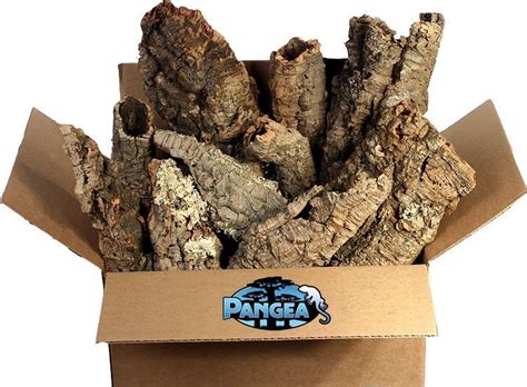Bulk Wholesale Cork Bark Cork Pangea Bulk