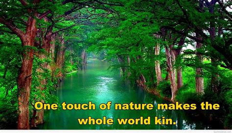 Nature Quotes Wallpapers Wallpaper Cave