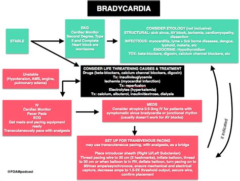 Bradycardia Diagnostic And Management Algorithm Consider Grepmed