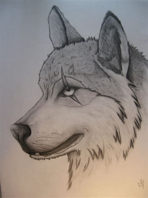 Cool Easy Wolf Drawings