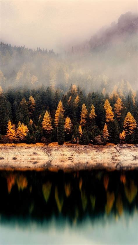 Imagine having a fall wallpaper that reminds you of how beautiful nature is and how intelligently it works. Pin by Abigail Franklin on iPhone | Autumn landscape ...