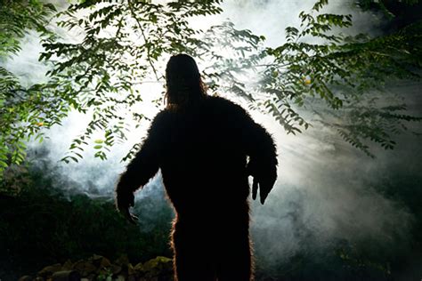 Iowa Man Claims To Have Taken Photos Of Bigfoot