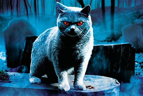 The book was released by doubleday on 14 november 1983. Pet Sematary (1989) review - That Was A Bit Mental