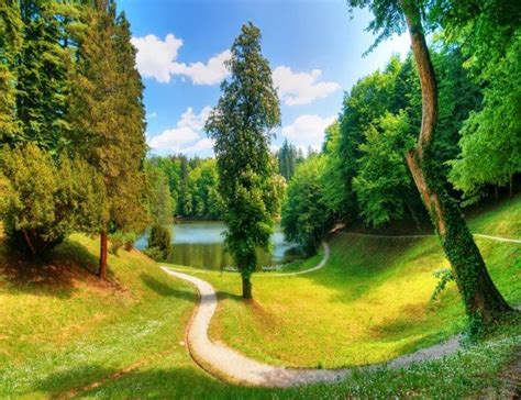 arboles hermosos - Buscar con Google | Paisajes bonitos ...