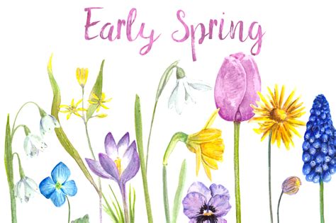 Urban pollinators early spring flowers for pollinators. Watercolor Early Spring Flowers Clip Art Set (243759 ...
