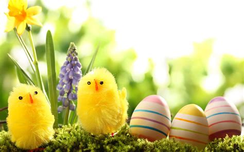 Easter Hd Wallpaper Background Image 1920x1200 Id407833