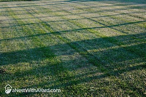 Most Efficient Mowing Pattern For Your Lawn In 2024