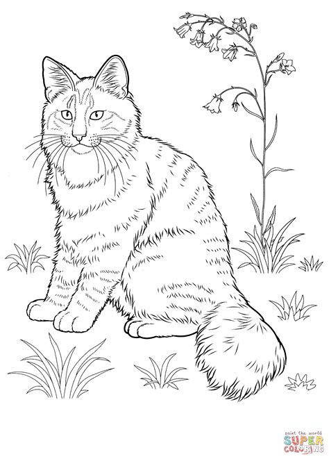 Detailed Cat Drawing at GetDrawings | Free download