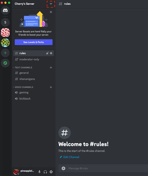 Verification Levels Discord