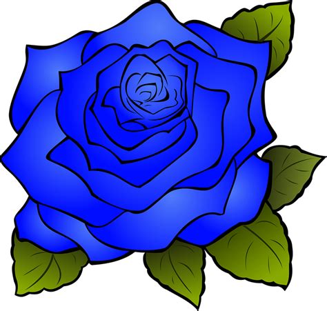 Rosa Flor Azul Gráfico Vetorial Grátis No Pixabay Pixabay