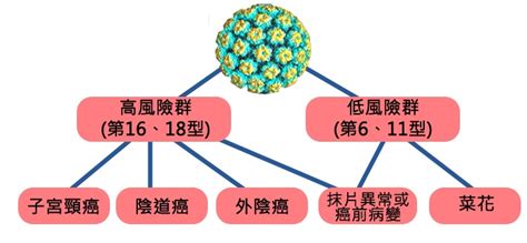 打疫苗 ― dǎ yìmiáo ― to get a vaccine, to be vaccinated. HPV疫苗解碼／新疫苗登台!「嘉喜9」更強、更貴，副作用也可能更大？ | 民報 Taiwan People News