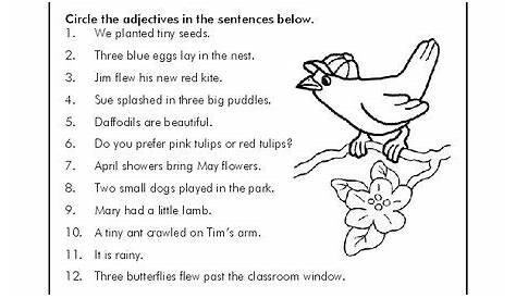 Adjectives Worksheets For 6th Grade - Worksheets Master