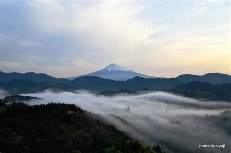 今朝の雲海と富士山 富士山見えたら‥