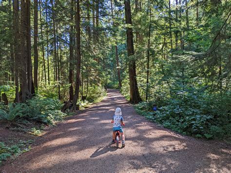 7 Kid Friendly Parks In Coquitlam In Love With Bc