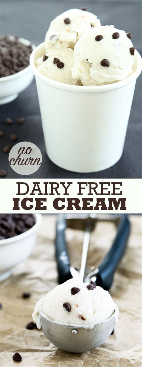 Some of the recipes below require minor adjustments. No Churn Dairy Free Ice Cream | Dairy free ice cream ...