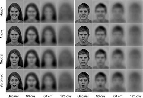 Newborn Babies Can See Their Parents Faces If Theyre A Foot Away