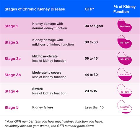 Estimated Glomerular Filtration Rate Egfr And Kidney 44 Off