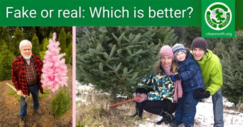Fake Or Real Christmas Tree We Help You Weigh The Pros And Cons