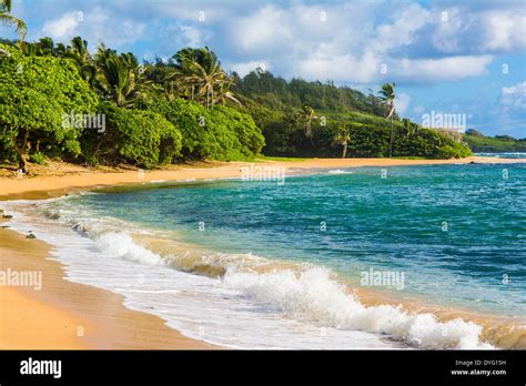 Hawaii Coconut Hi Res Stock Photography And Images Alamy