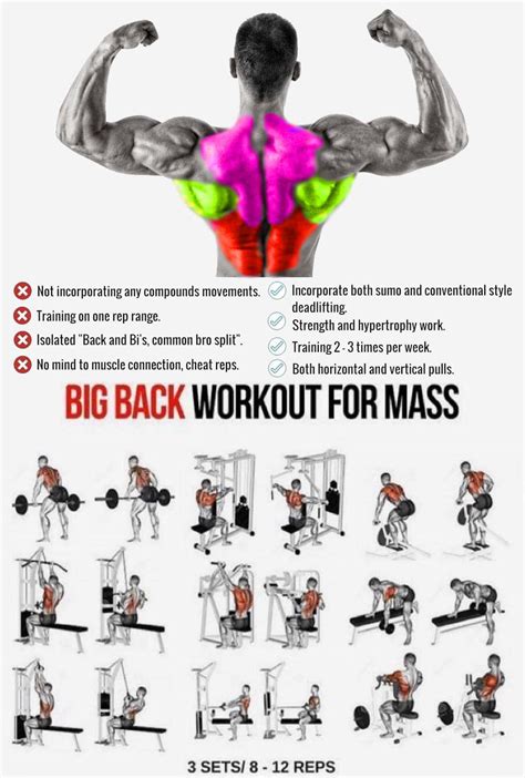 Big Back Workout Big Back Workout Back Workout For Mass Back Workout
