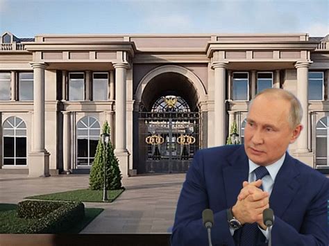 Спорт, защита животных, автомобили, отдых. "Дворец Путина" оплатил Путин": Радзиховский сделал ...