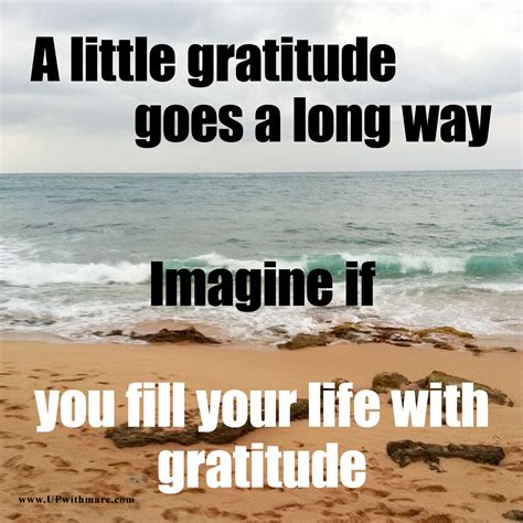 Gratitude Memes